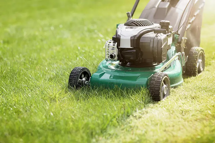 Can You Mow Wet Grass in Edmond, OK