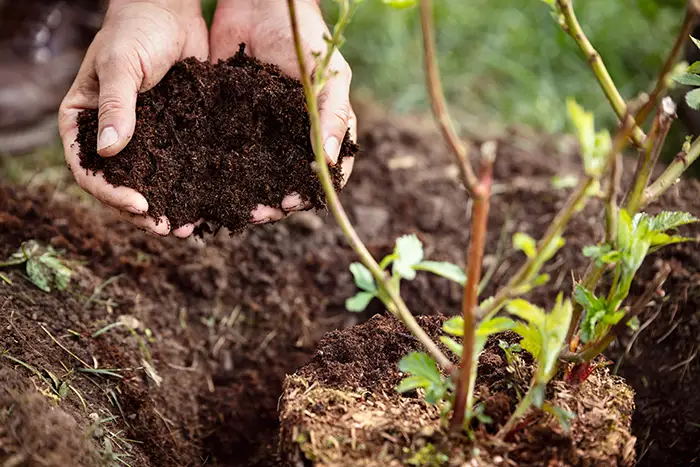 How Long Does Mulch Last in Edmond, OK