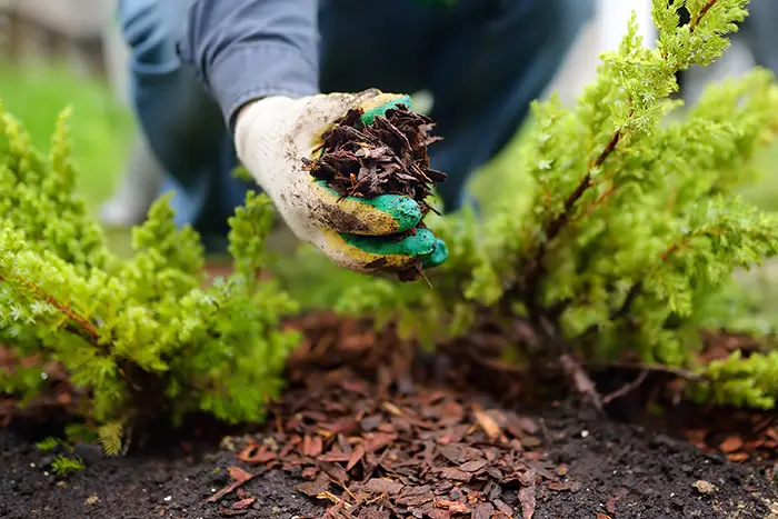 How Long Does Mulch Last in Edmond, OK