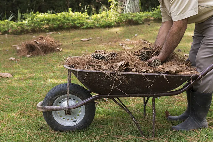 How To Clean A Backyard in Edmond, OK