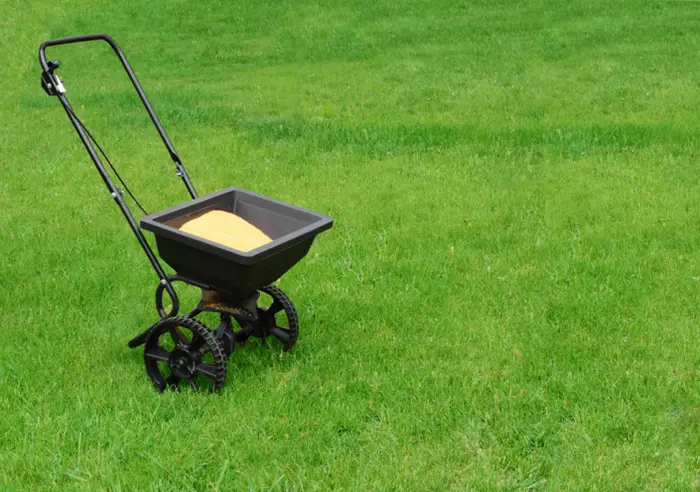 How often should you fertilize your lawn in Edmond, OK