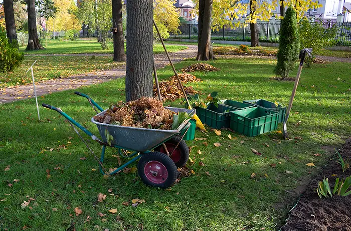 How to clear a yard full of weeds in Edmond, OK