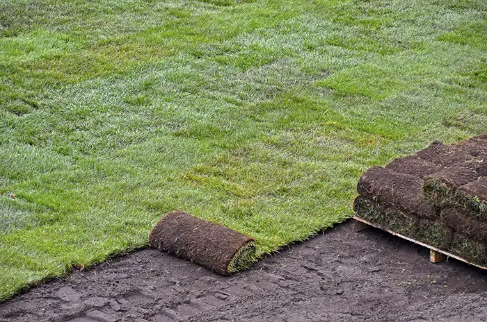 How to lay sod over existing lawn in Edmond, OK