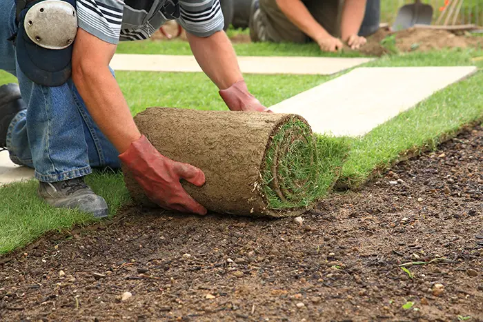 How to lay sod over existing lawn in Edmond, OK