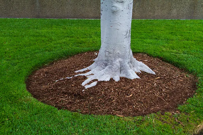 Mulching in Edmond, OK