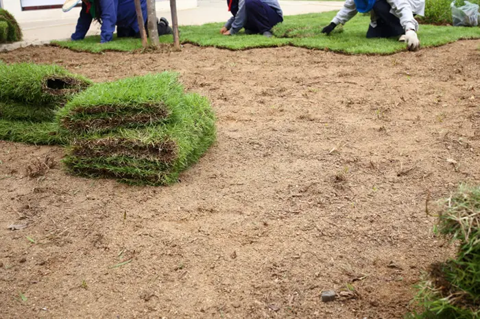 Sod Installation in Edmond, OK