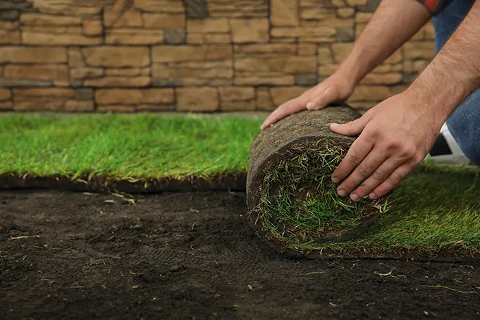 Sod Installation in Edmond, OK