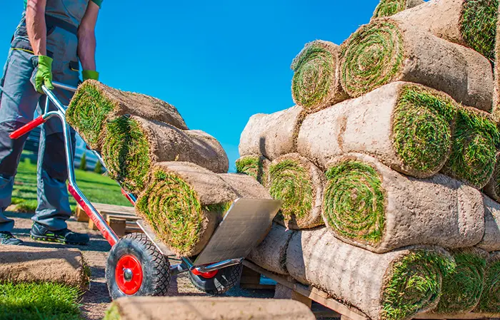 Sod Installation in Edmond, OK