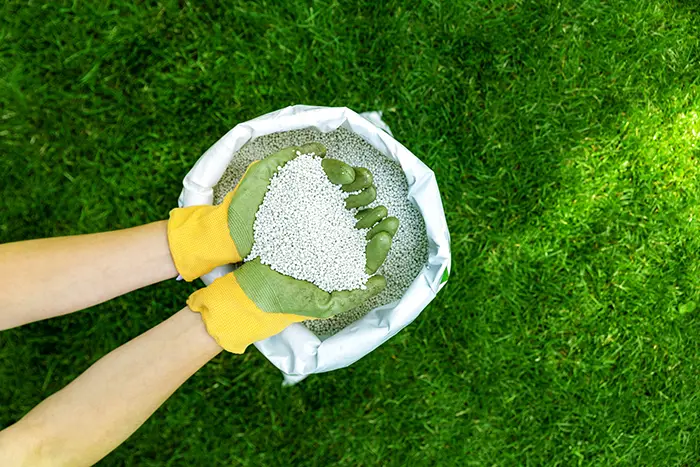 When is the best time to fertilize your lawn in Edmond, OK