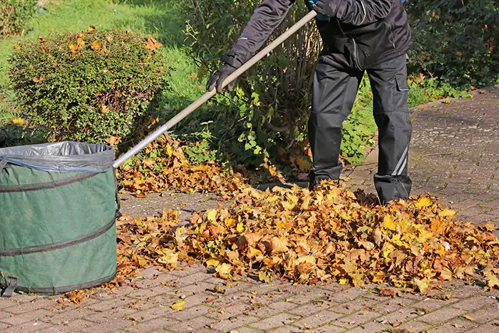 Yard Cleanup in Edmond, OK