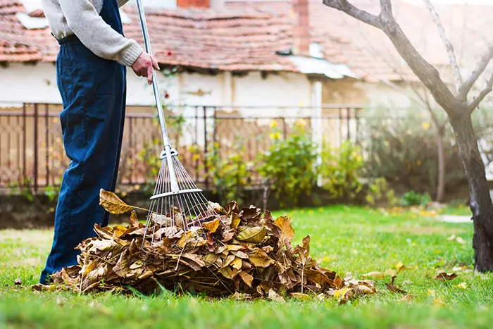 Yard Cleanup in Edmond, OK