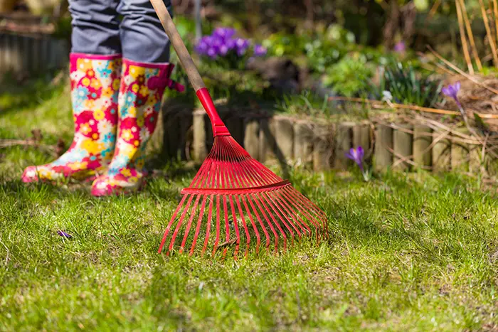 Yard Cleanup in Edmond, OK